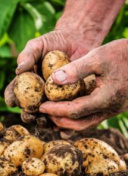 丫头不怕 给我-丫头不怕 给我最新版v13.79.77-2265安卓网